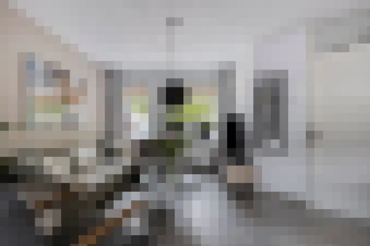 Console 7 Beuningen Gld thumbnail 5