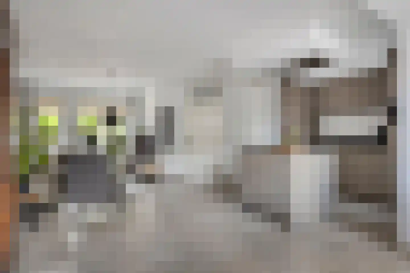 Console 7 Beuningen Gld thumbnail 9