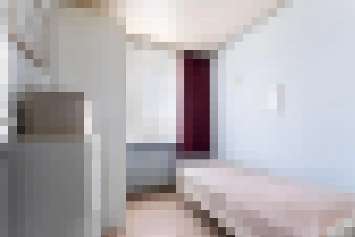 Const Huygensstraat 26 Elsloo thumbnail 15