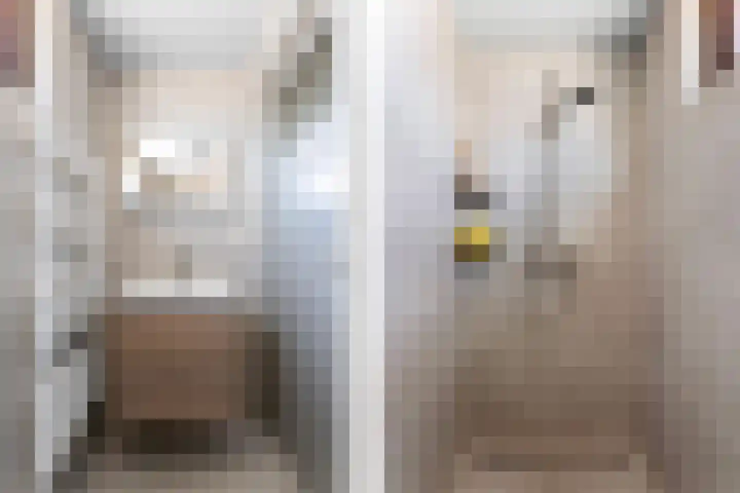 Const Huygensstraat 26 Elsloo thumbnail 16