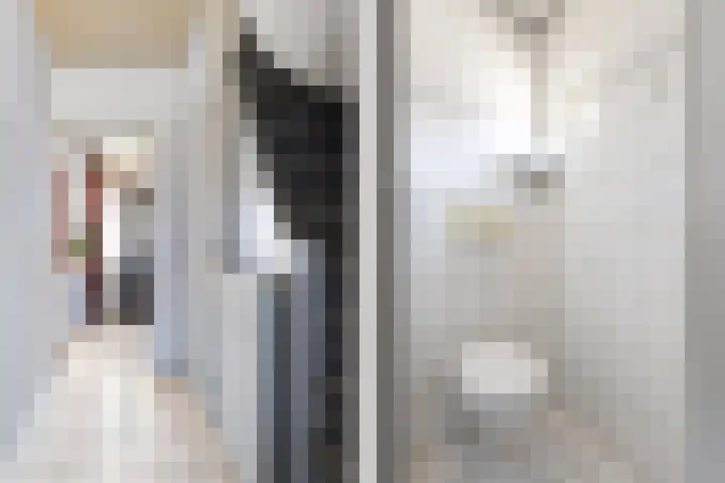 Const Huygensstraat 26 Elsloo thumbnail 5