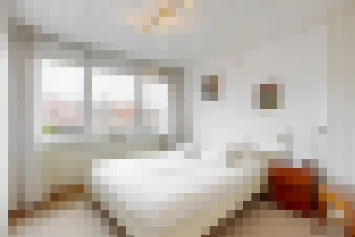 Const Huygensstraat 29 Elsloo thumbnail 11