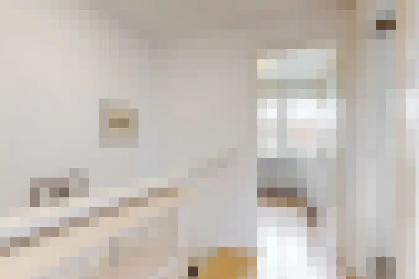 Const Huygensstraat 29 Elsloo thumbnail 15
