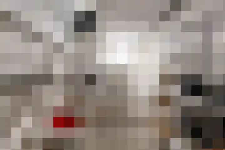 Const Huygensstraat 29 Elsloo thumbnail 17