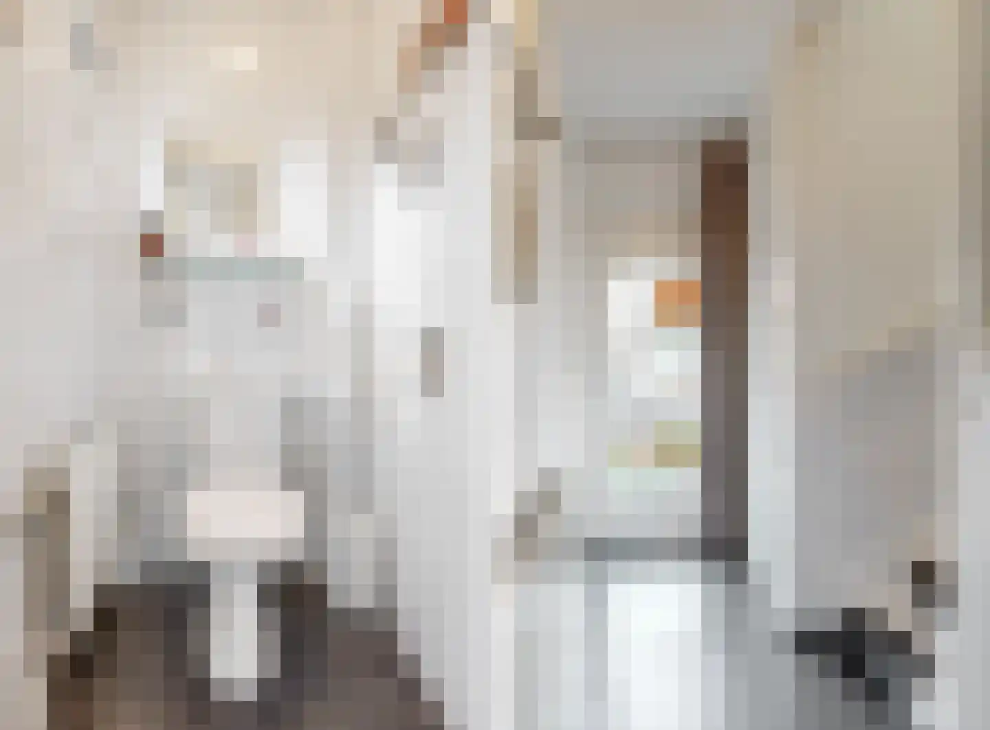 Const Huygensstraat 29 Elsloo thumbnail 5