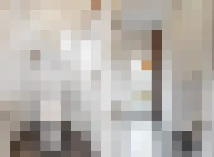 Const Huygensstraat 29 Elsloo thumbnail 5