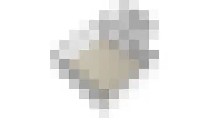 Const Huygensstraat 3 Elsloo thumbnail 50