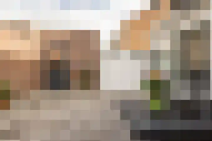 Const Huygensstraat 37 Elsloo thumbnail 29