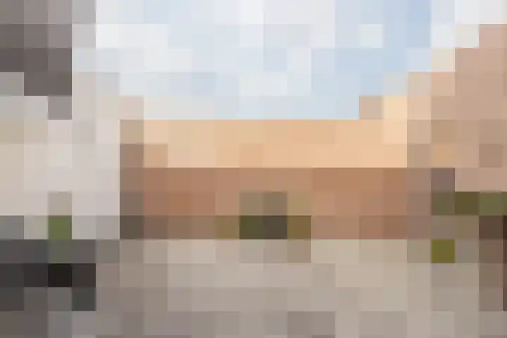 Const Huygensstraat 37 Elsloo thumbnail 30
