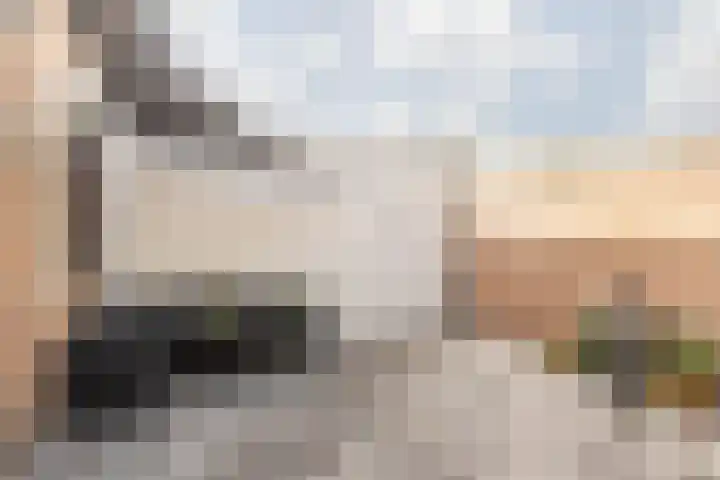 Const Huygensstraat 37 Elsloo thumbnail 32
