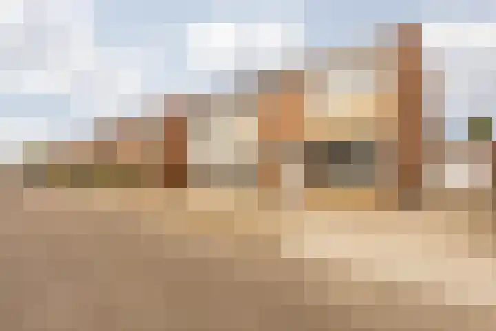 Const Huygensstraat 37 Elsloo thumbnail 6