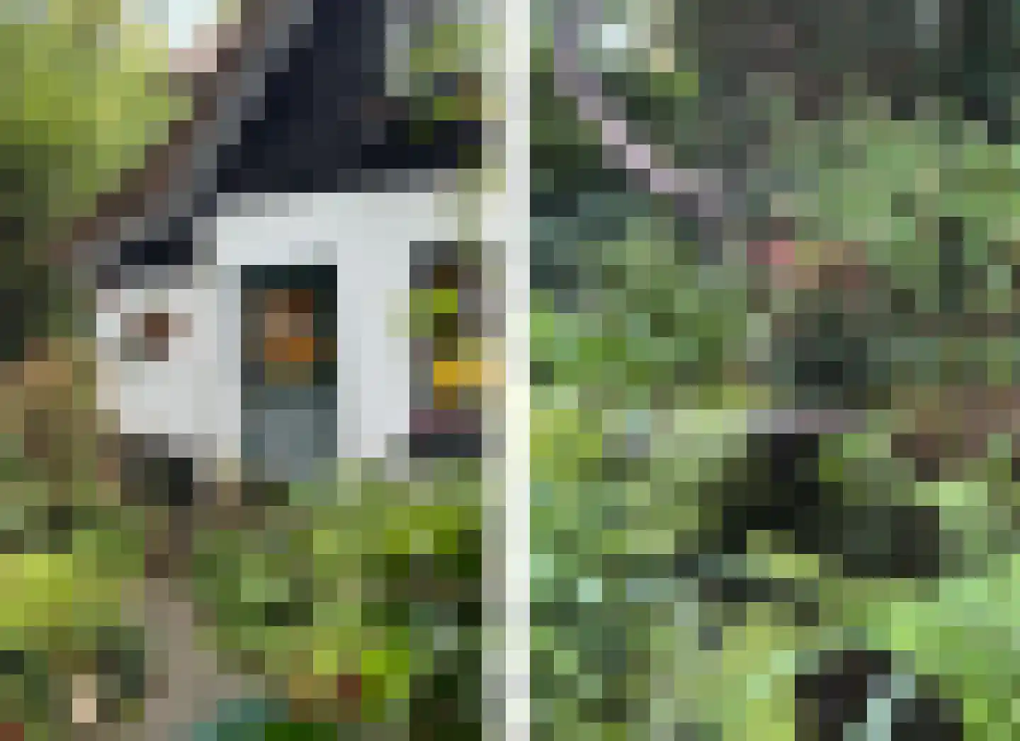 Const. Huygensstraat 4 Castricum thumbnail 35