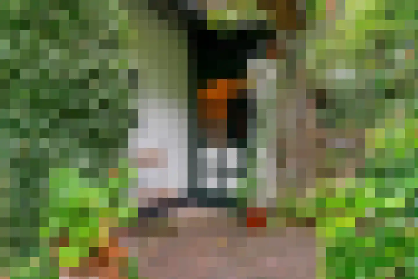 Const. Huygensstraat 4 Castricum thumbnail 37