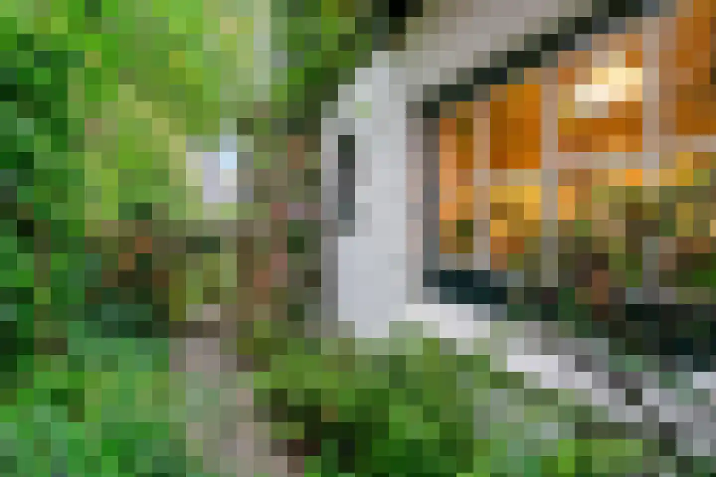 Const. Huygensstraat 4 Castricum thumbnail 48