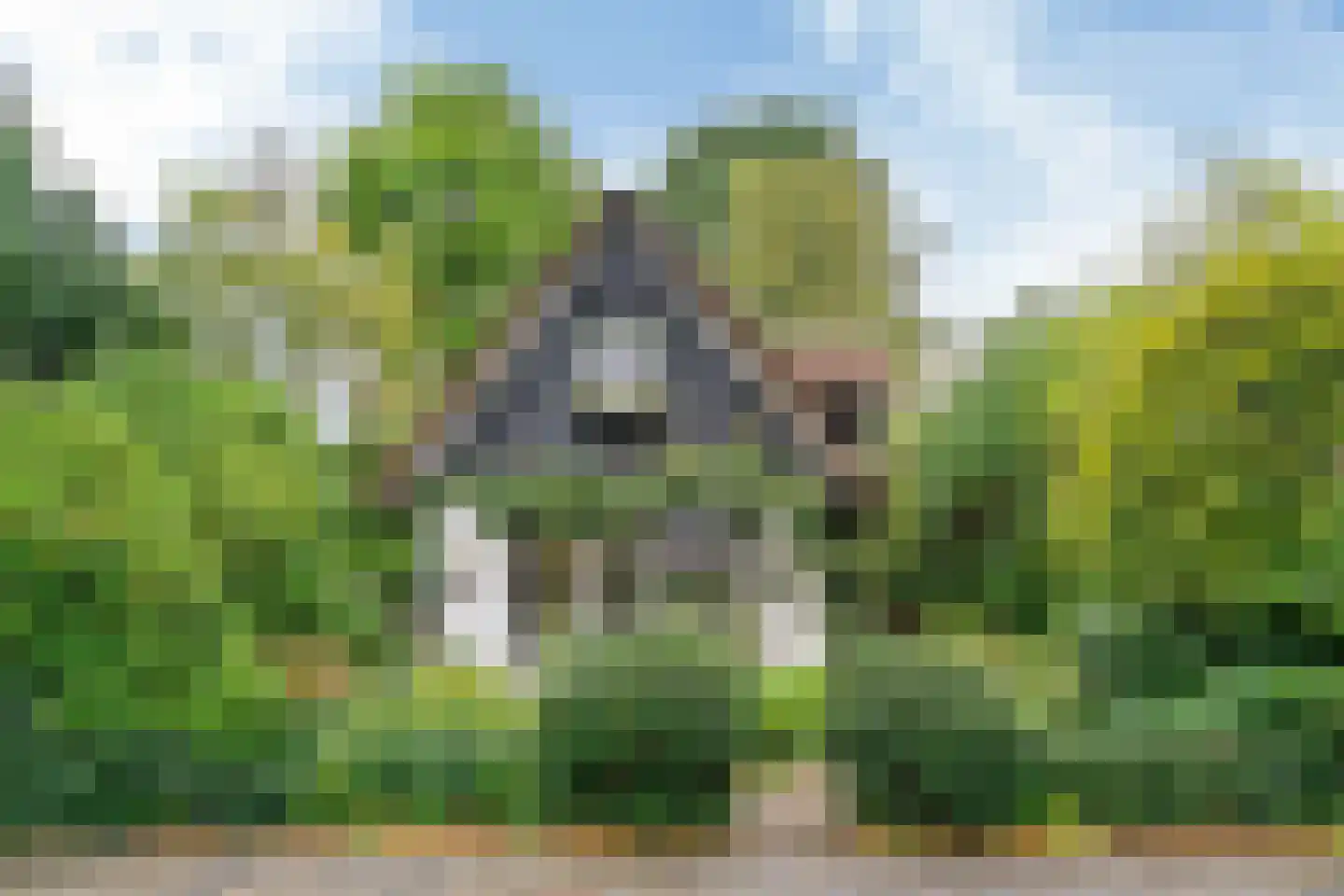 Const. Huygensstraat 4 Castricum thumbnail 54