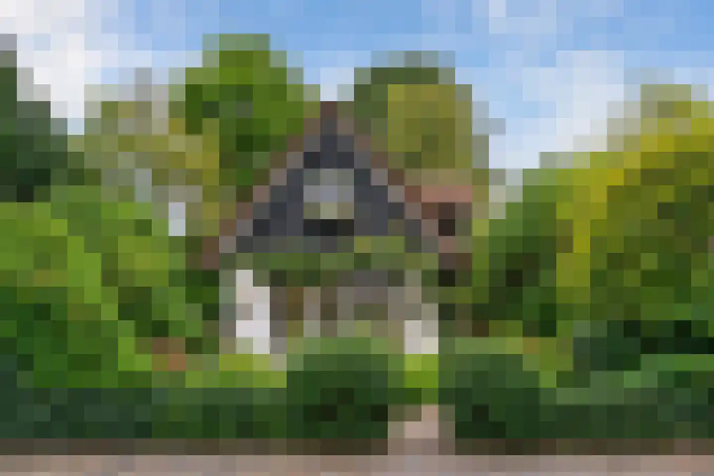 Const. Huygensstraat 4 Castricum thumbnail 7