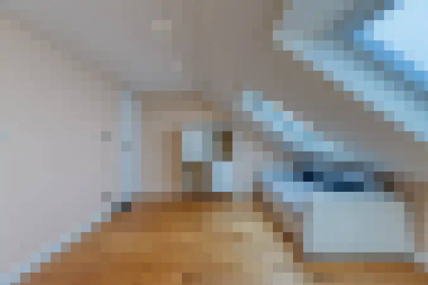 Constance Gelderblomlaan 12 Den Haag thumbnail 26