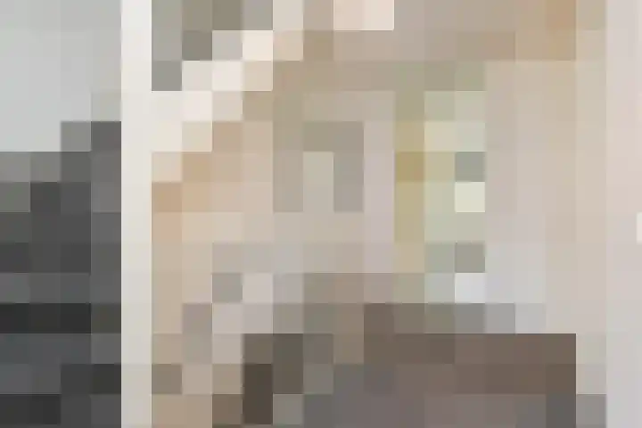 Constance Gelderblomlaan 17 Den Haag thumbnail 19