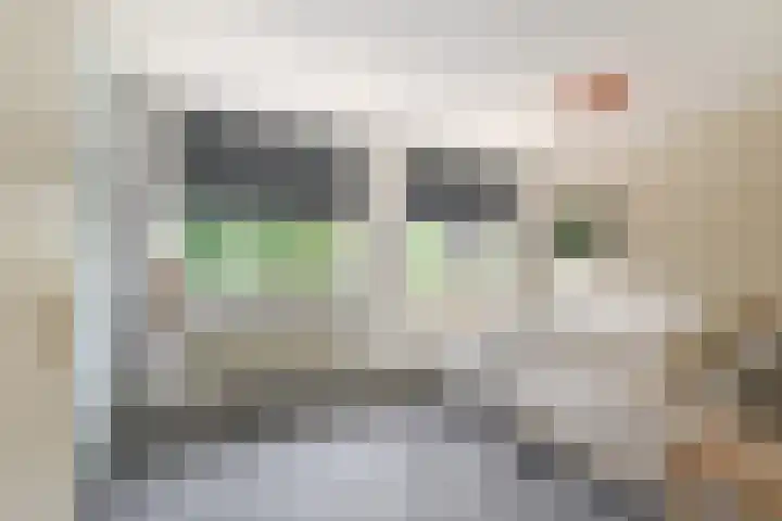 Constance Gelderblomlaan 17 Den Haag thumbnail 20