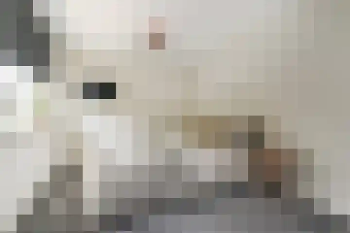 Constance Gelderblomlaan 17 Den Haag thumbnail 22