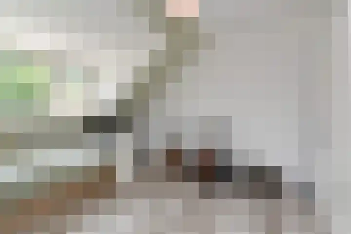 Constance Gelderblomlaan 17 Den Haag thumbnail 34