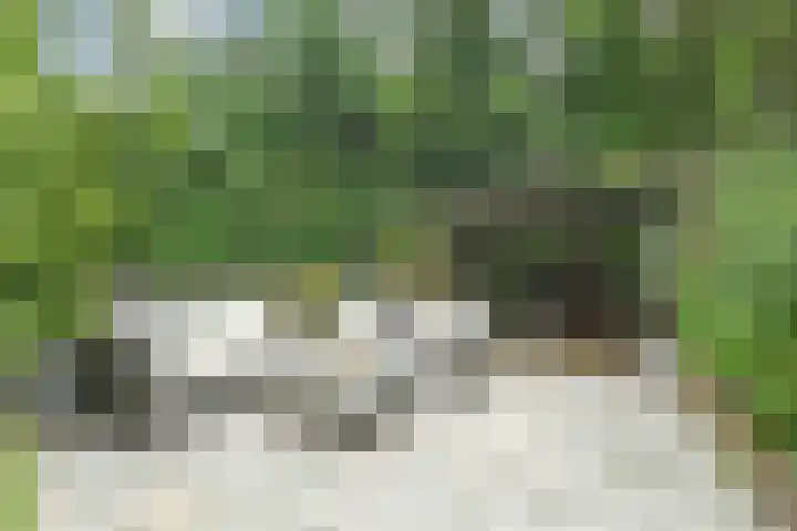 Constance Gelderblomlaan 17 Den Haag thumbnail 43