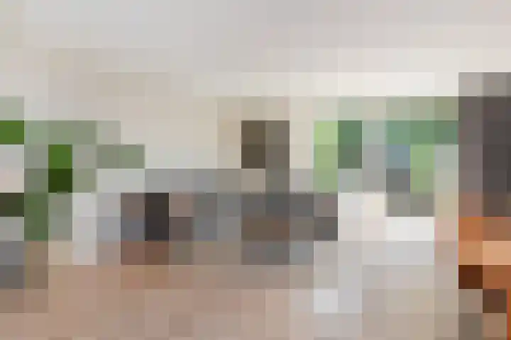 Constance Gelderblomlaan 17 Den Haag thumbnail 7