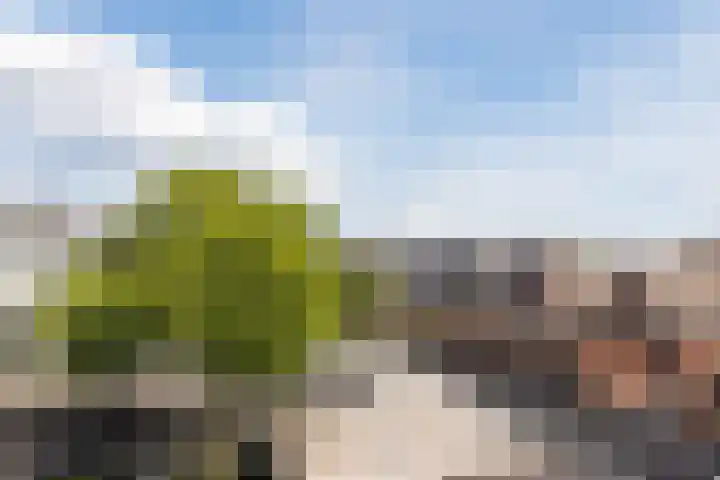 Constance Gerlingsstraat 24 Rijen thumbnail 28