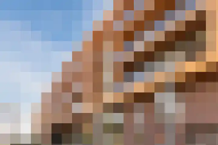 Constance Gerlingsstraat 24 Rijen thumbnail 35