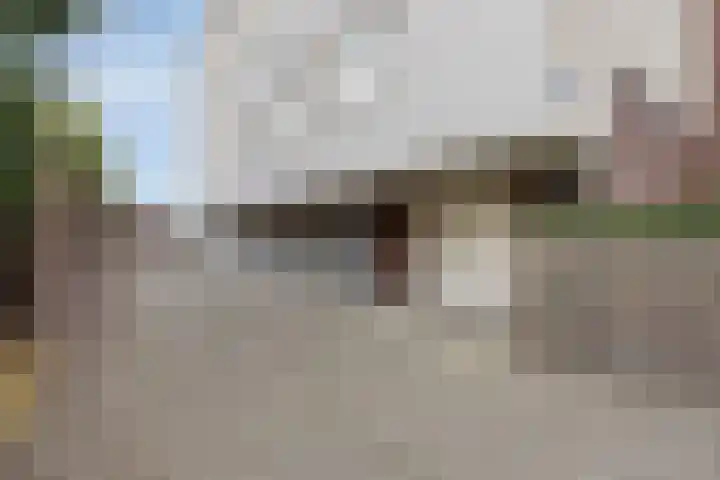 Constance Gerlingsstraat 29 Rijen thumbnail 29
