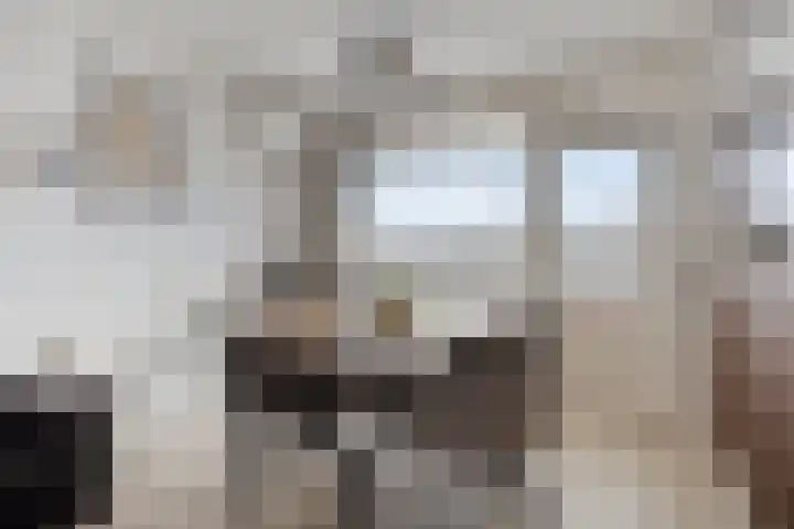 Constance Gerlingsstraat 29 Rijen thumbnail 5
