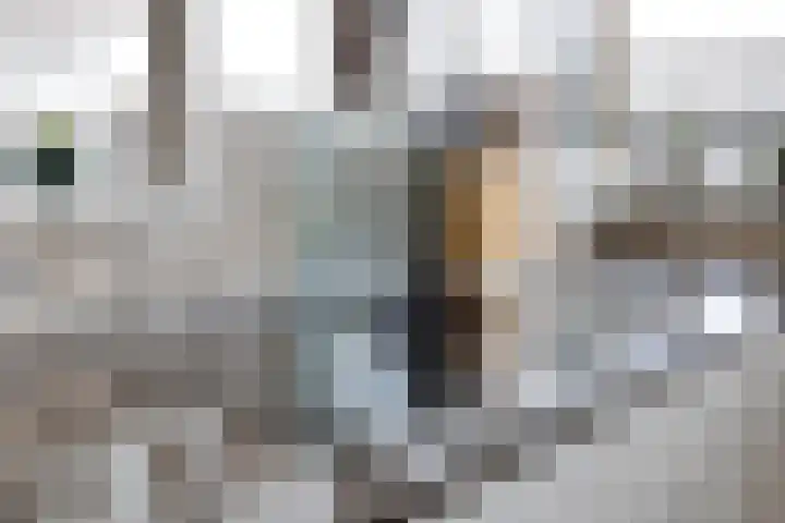 Constance Gerlingsstraat 29 Rijen thumbnail 9