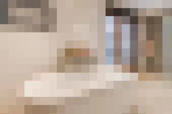 Constance Gerlingsstraat 55 Rijen thumbnail 36