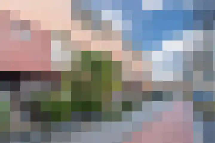 Constance Gerlingsstraat 55 Rijen thumbnail 53