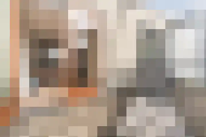 Constance Gerlingsstraat 57 Rijen thumbnail 56