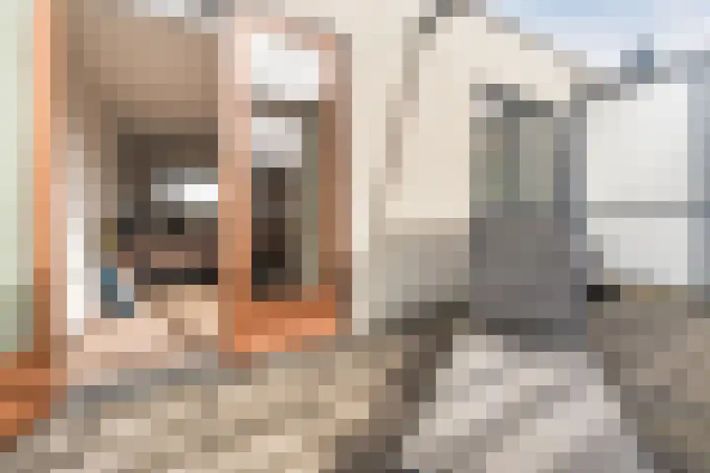 Constance Gerlingsstraat 57 Rijen thumbnail 56