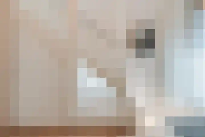 Constance Gerlingsstraat 57 Rijen thumbnail 7