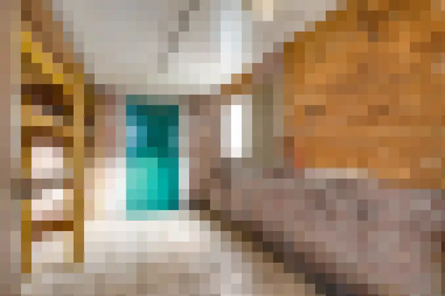 Constant Dietzstraat 16 Tienray thumbnail 32