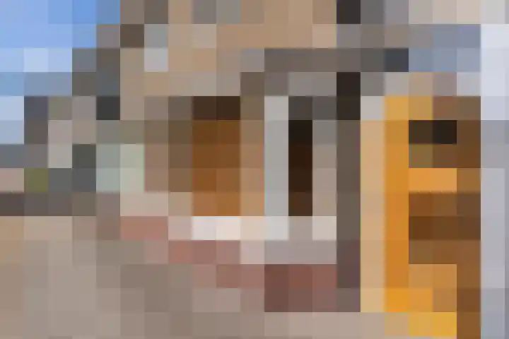 Constant Erzeijstraat 39 Utrecht thumbnail 37