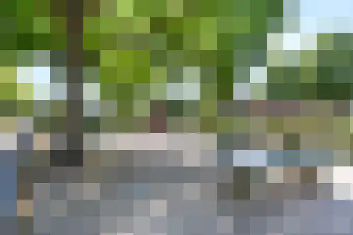 Constant Erzeijstraat 39 Utrecht thumbnail 44