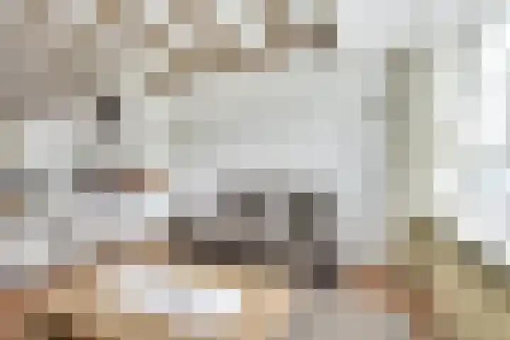 Constant Erzeijstraat 5 Utrecht thumbnail 15
