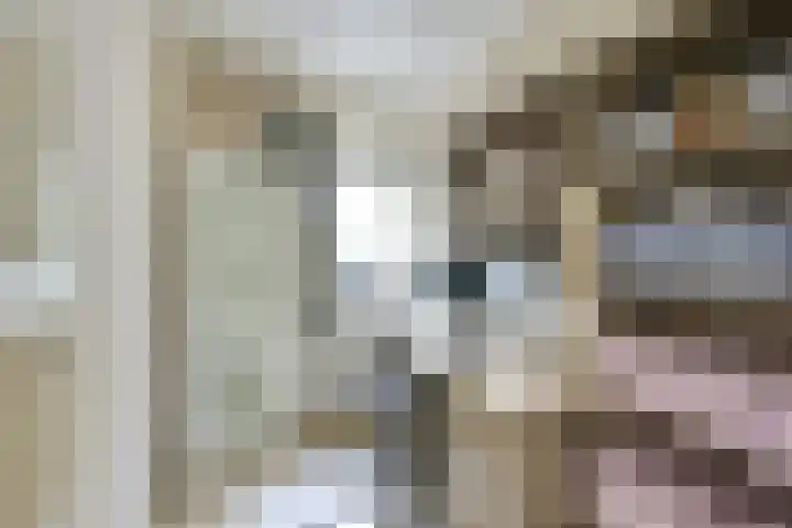 Constant Erzeijstraat 5 Utrecht thumbnail 33