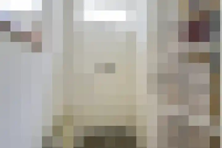 Constant Erzeijstraat 5 Utrecht thumbnail 5