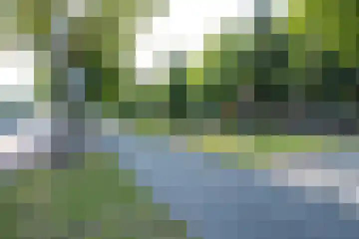 Constant Erzeijstraat 5 Utrecht thumbnail 50