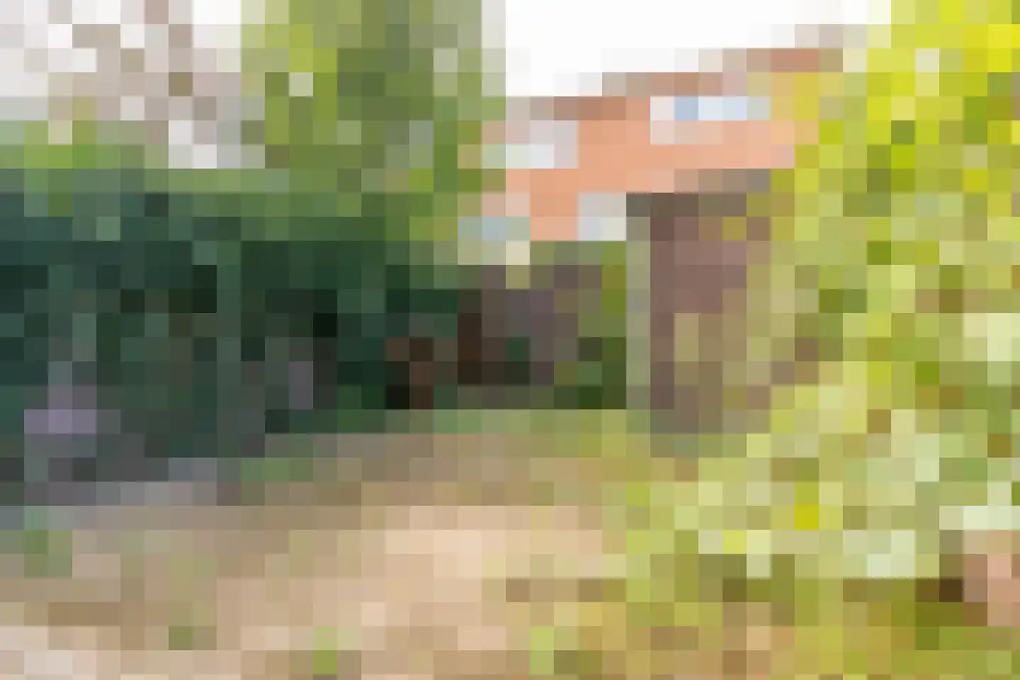 Constant Erzeijstraat 59 Utrecht thumbnail 19
