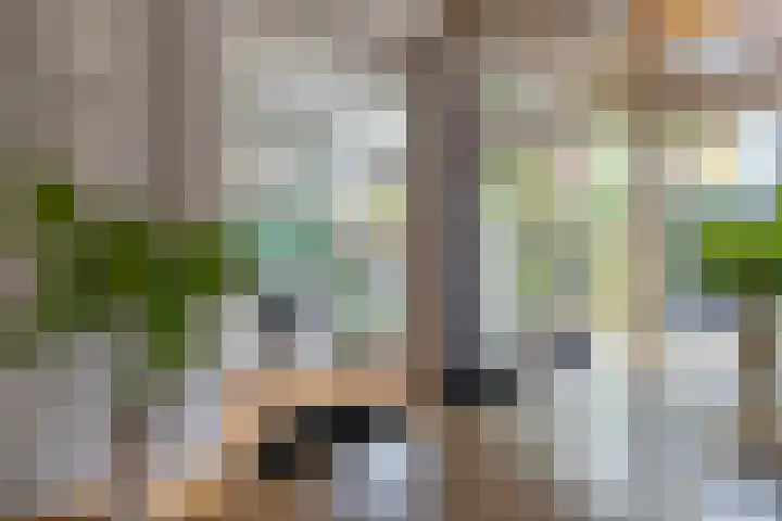 Constant Erzeijstraat 81 Utrecht thumbnail 6
