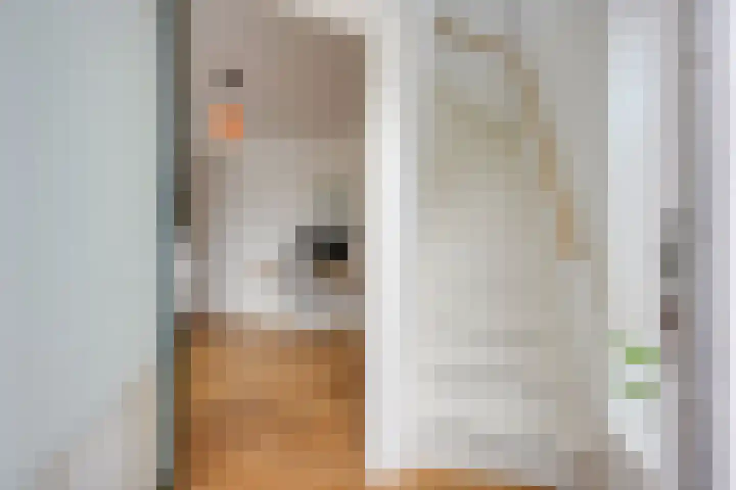 Constant Erzeijstraat 87 A Utrecht thumbnail 6