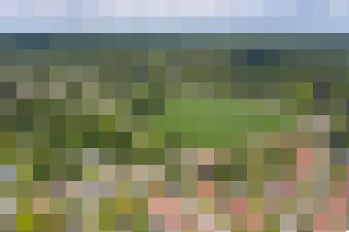 Constantia Loudonlaan 1 Rozendaal thumbnail 4
