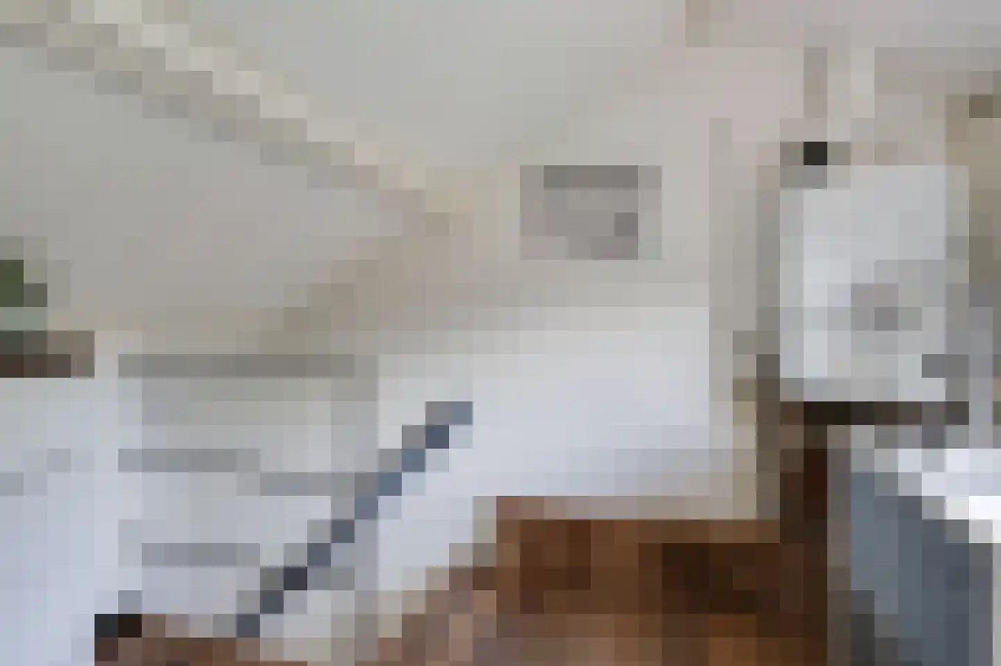 Constantia Loudonlaan 11 Rozendaal thumbnail 28