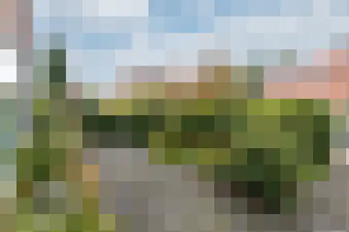 Constantia Loudonlaan 2 Rozendaal thumbnail 4